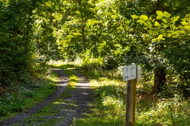 Lichtenfelser Rundradweg