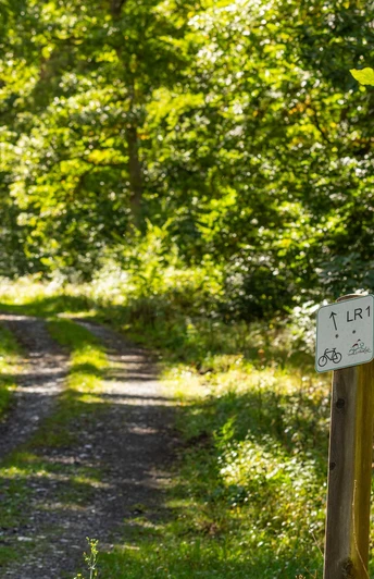 Lichtenfelser Rundradweg