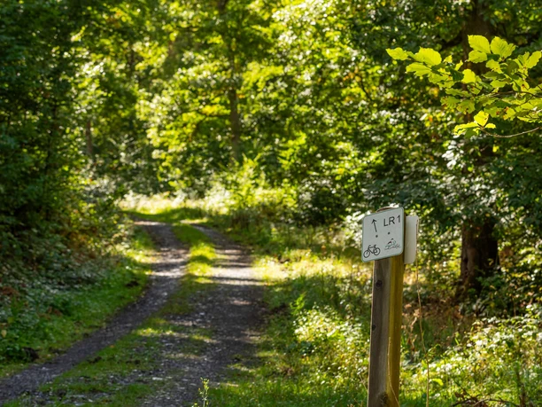 Lichtenfelser Rundradweg