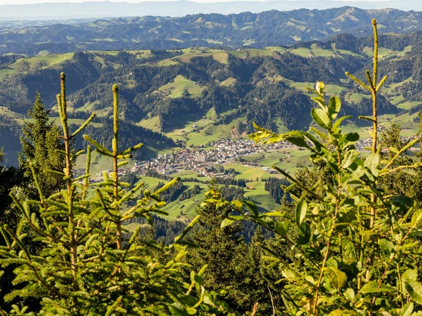 Ausblick bei der Feuerstelle Beichlegfähl in Escholzmatt