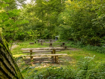 Feuerstelle an der kleinen Emme in Entlebuch