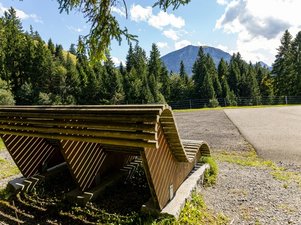 Feuerstelle Wissenegg in Finsterwald