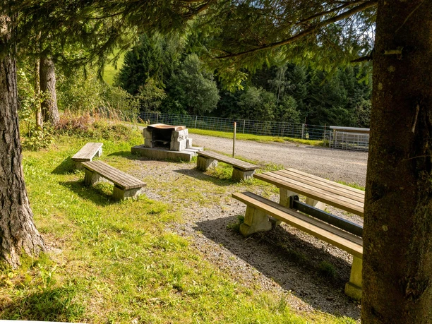 Feuerstelle Wissenegg in Finsterwald