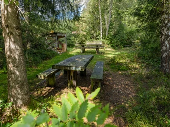 Feuerstelle Weiher in Finsterwald