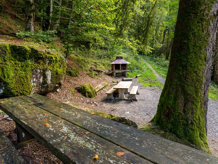 Feuerstelle Brüdern in Finsterwald
