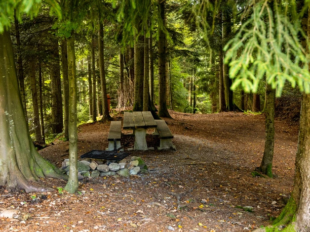 Feuerstelle Schwändi in Entlebuch