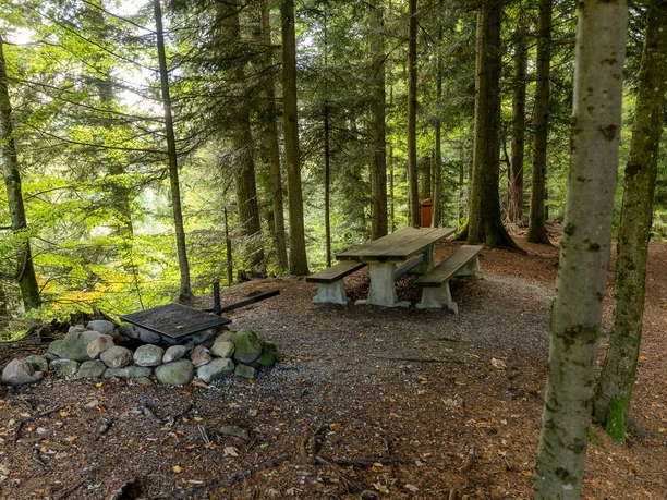 Feuerstelle Schwändi in Entlebuch