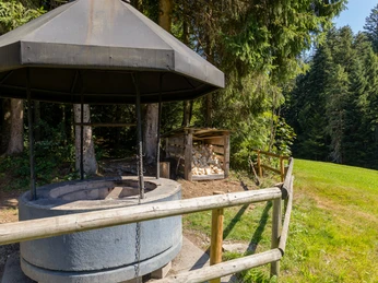 Feuerstelle Tellenmoos in Escholzmatt