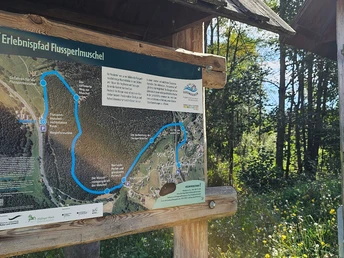 Erlebnispfad Flussperlmuschel