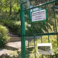 Botanischer Garten Bad Schandau Entrance to the Bad Schandau Botanical Garden with steps, green fence and lush vegetation.