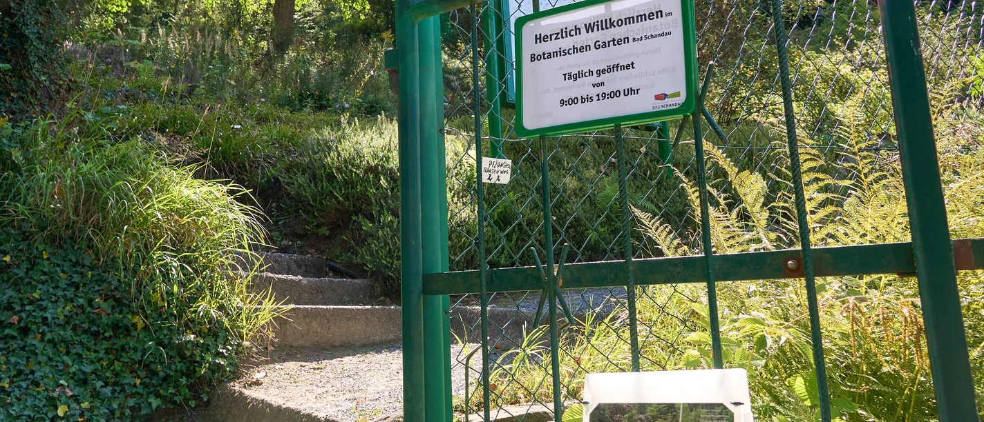 Botanischer Garten Bad Schandau Entrance to the Bad Schandau Botanical Garden with steps, green fence and lush vegetation.