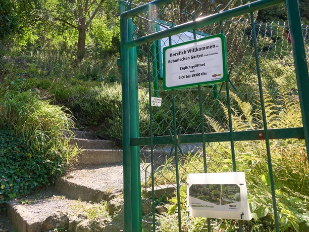 Botanischer Garten Bad Schandau Eingang zum Botanischen Garten Bad Schandau mit Treppe, grünem Zaun und üppiger Vegetation.