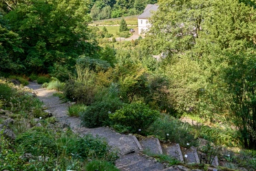Botanischer Garten Bad Schandau Verschlungene Pfade fĂĽhren durch eine ĂĽppige grĂĽne Landschaft im Botanischen Garten Bad Schandau.