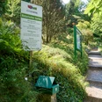 Botanischer Garten Bad Schandau Entrance to the Bad Schandau Botanical Gardens with information sign next to a shady path.