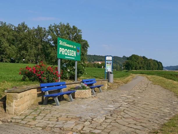 Two blue benches in front of floral decorations at the Prossen landing stage, surrounded by greenery, with signposts.