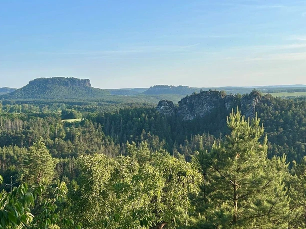 Viewpoint_Ziegenruecken Pohled na mnoho zelených korun stromů, pískovcový útvar a stolovou horu.