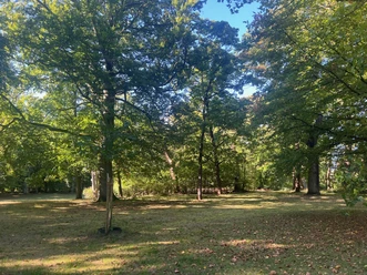 Thaers Garten