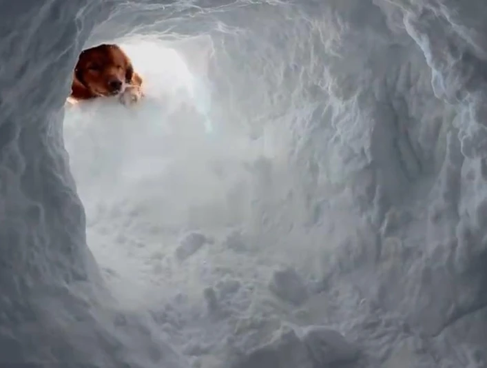 WhatsApp Image 2025-09-23 at 07.39.31.jpeg