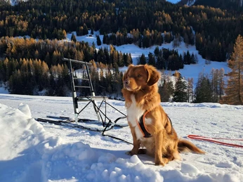 WhatsApp Image 2025-09-23 at 07.39.51.jpeg