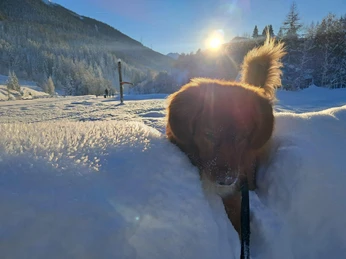 WhatsApp Image 2025-09-23 at 07.40.14.jpeg