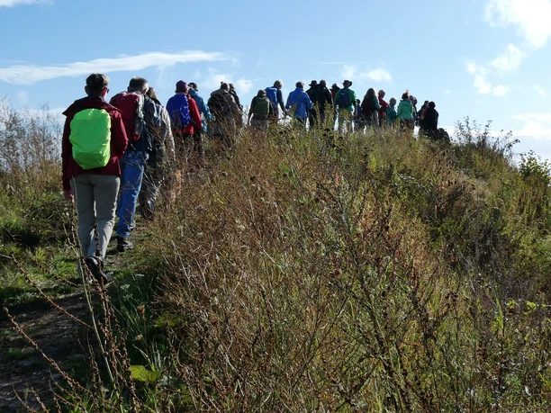 Wandergruppe auf Steinberg 2025 - LTM.JPG