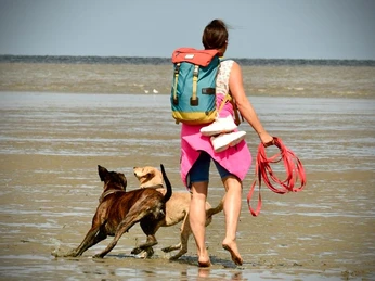 Urlauberin_mit_Hunden_am_Strand_M.Hartung_Photographie_BR_SG_Hemmoor.jpg