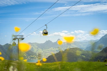 Gondelbahn Emmetten-Stockhütte im Frühling mit Blumen im Vordergrund