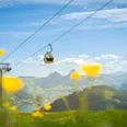 20240526 Klewenalp Stockhütte_Simon Imhof (28).jpg Gondelbahn Emmetten-Stockhütte im Frühling mit Blumen im Vordergrund