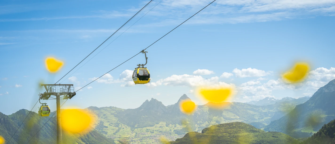 20240526 Klewenalp Stockhütte_Simon Imhof (28).jpg Gondelbahn Emmetten-Stockhütte im Frühling mit Blumen im Vordergrund