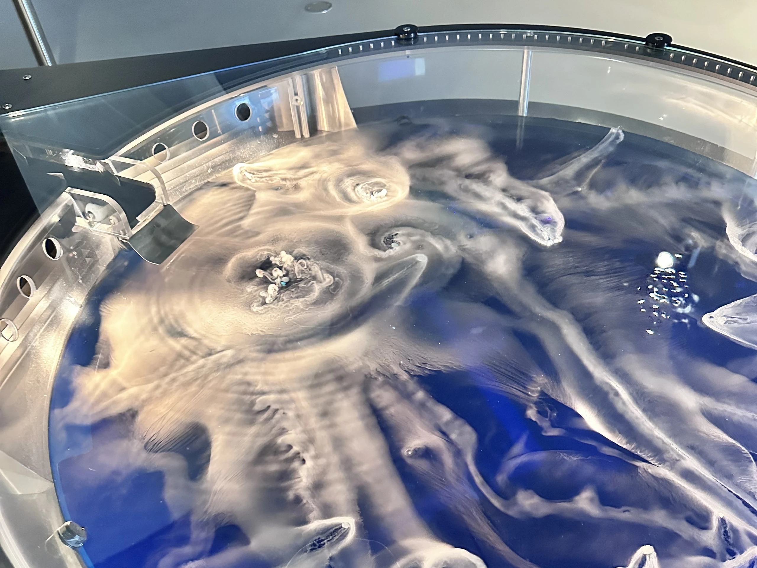 Icy Bodies erinnert an einen Kometenschauer, wenn Trockeneisstückchen in ein Wasserbecken fallen, sich drehen und dabei von wirbelndem Nebel begleitet werden.