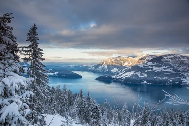 Aussicht vom Schattigenstock auf den Vierwaldstättersee im Winter