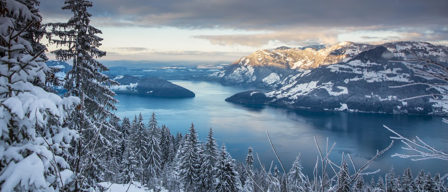 Aussicht vom Schattigenstock auf den Vierwaldstättersee im Winter