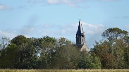 DSC05691 - bearbeitet