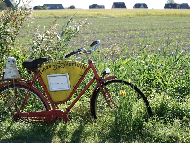 DSC05683 - bearbeitet - bearbeitet