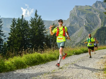 Print alphafoto ALP 8744