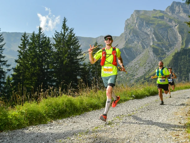 Print alphafoto ALP 8744