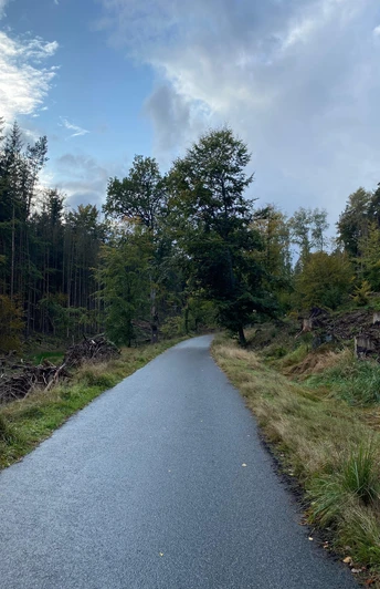 Alte Böhmische Straße