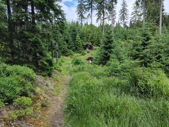 Wie aus dem Märchenbuch