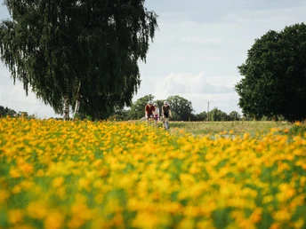 Landschaft im Osnabrücker Land