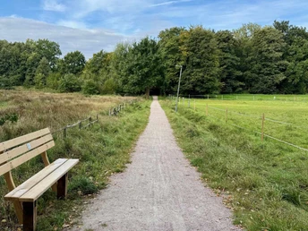 wanderweg-center-parcs-bispingen (4).jpg Ein schmaler, naturbelassener Weg führt durch Graswiesen, gesäumt von Holzbank und Zäunen.