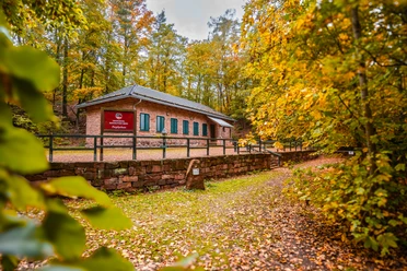 The forest on the Rochlitzer Berg around the Porphyry House geoportal is colored in autumn.