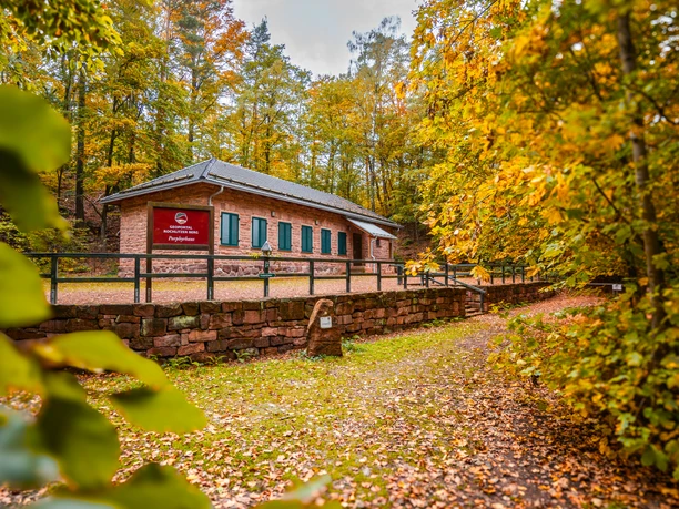 Der Wald auf dem Rochlitzer Berg rund um das Geoportal Porphyrhaus ist herbstbunt gefärbt.