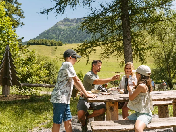 Familienpicknick auf der Seebodenalp
