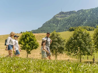 Familienwanderung auf der Seebodenalp mit Rigi Kulm im Hintergrund