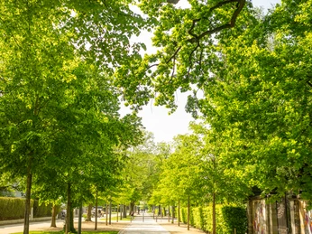 Herford-2025-194-©Teutoburger Wald-Pro Herford GmbH-D.Ketz.jpg