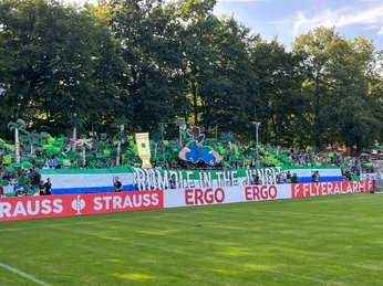 eine volle Zuschauertribüne im Heidewaldstadion, die Zuschauer halten Palmen hoch