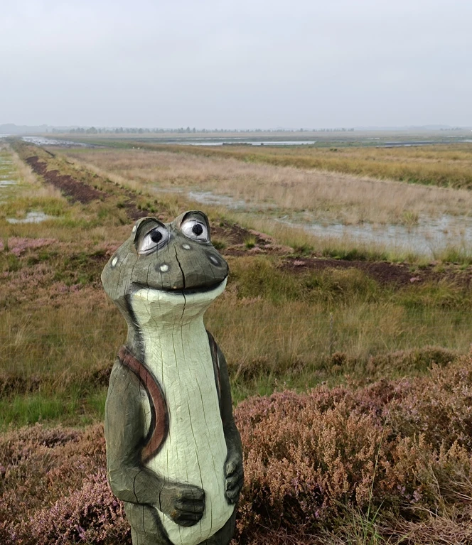 MOORex bringt im internationalen Naturpark Bourtanger Moor-Veenland vor allem Schülern die Natur näher.jpg