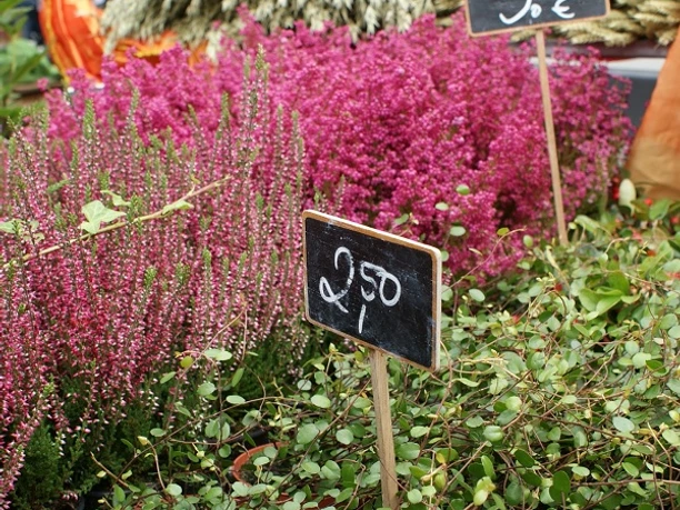 Heidemarkt 600x600.jpg