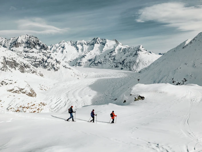 Wintertour oberhalb des Aletschgletschers Gruppe bei Schneeschuhtour Aletsch Grattour mit weiten Panoramen über den verschneiten Grossen Aletschgletscher und BerggipfelGroup on snowshoe tour Aletsch ridge tour with wide panoramas over the snow-covered Great Aletsch Glacier and mountain peaksGroupe lors d'une randonnée en raquettes sur la crête d'Aletsch avec de vastes panoramas sur le grand glacier d'Aletsch enneigé et les sommets de montagne