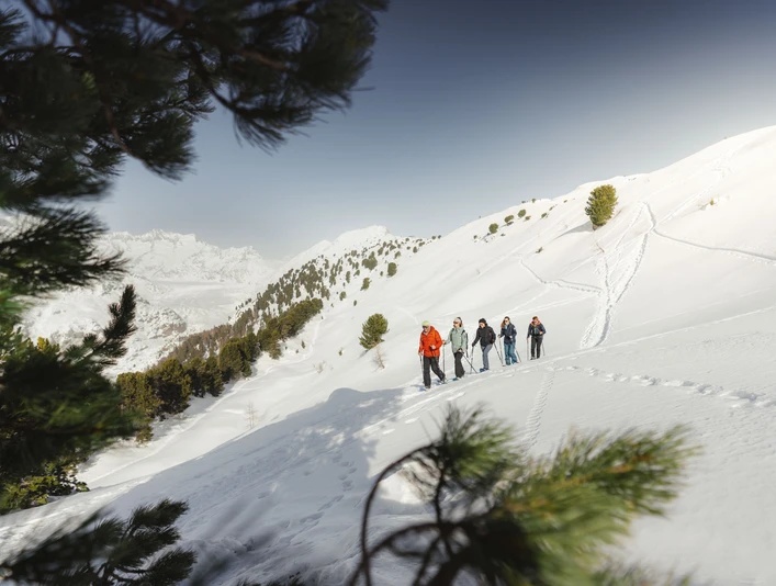 Guided tour through the UNESCO Aletsch Forest Fünf Personen auf Schneeschuhtour UNESCO Aletschwald genießen den Wintertag zwischen Hohfluh und Riederfurka mit BergpanoramaFive people on a snowshoe tour UNESCO Aletsch Forest enjoy the winter day between Hohfluh and Riederfurka with a mountain panoramaCinq personnes en randonnée à raquettes UNESCO Forêt d'Aletsch profitent de la journée d'hiver entre Hohfluh et Riederfurka avec un panorama de montagnes